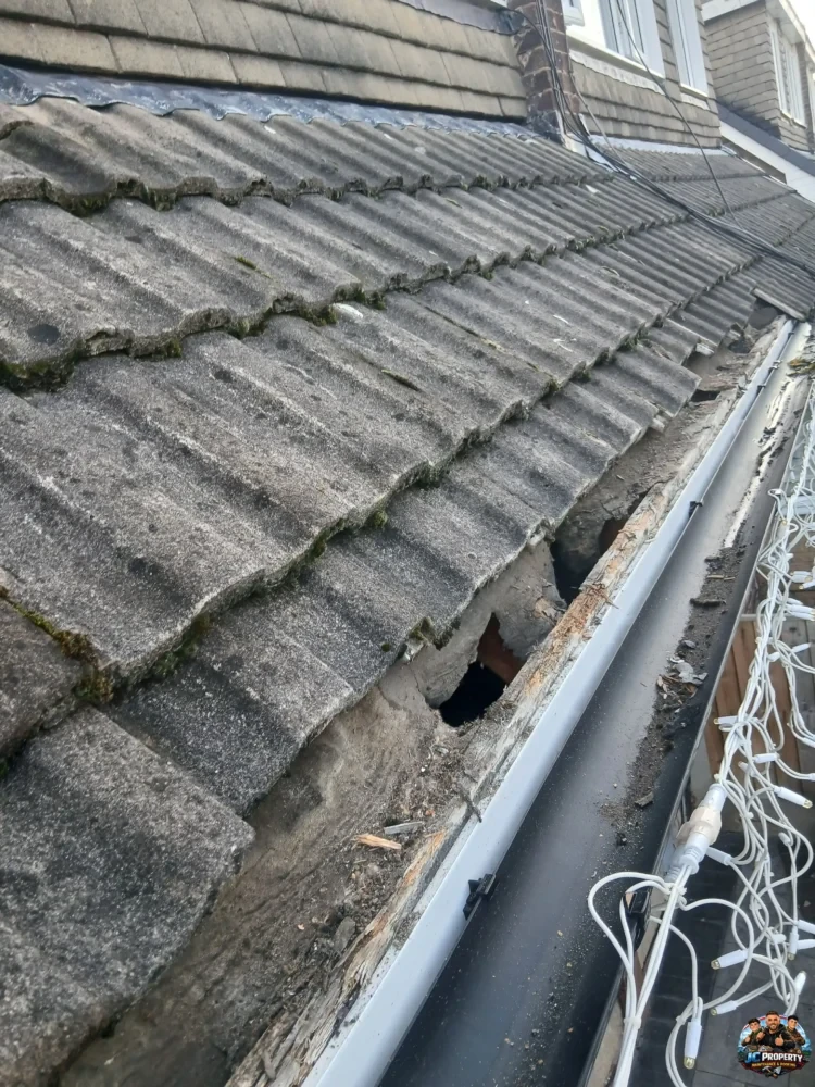 Roofing Project 22