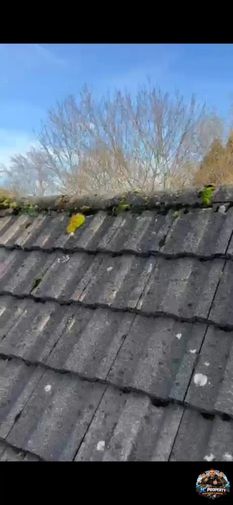 Roofing Project 3
